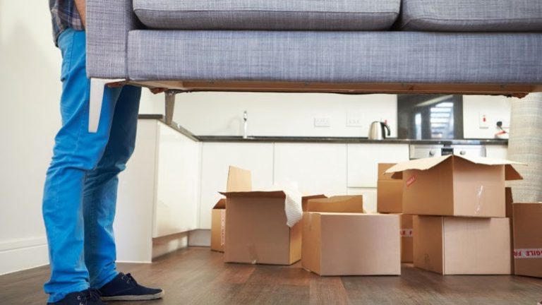 Individual Guide On Professional Removal Solutions