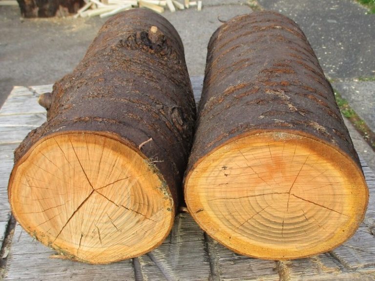 Logs For Sale